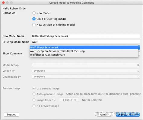 Local Variable NetLogo 的图像结果