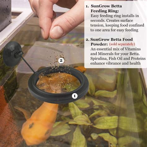 Buy SunGrow Betta Feeding Ring, Prevent Water Turbulence from Washing ...