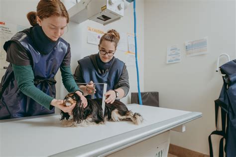 Current Student Resources - Lancaster County Career & Technology Center