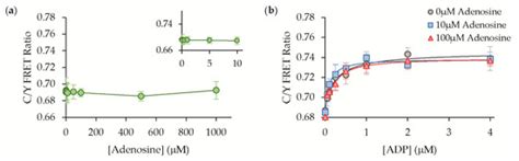 Detection of Osmotic Shock-Induced Extracellular Nucleotide Release ...