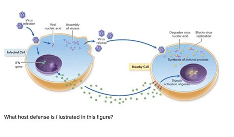 Image result for What Is First Complement and Second Complement