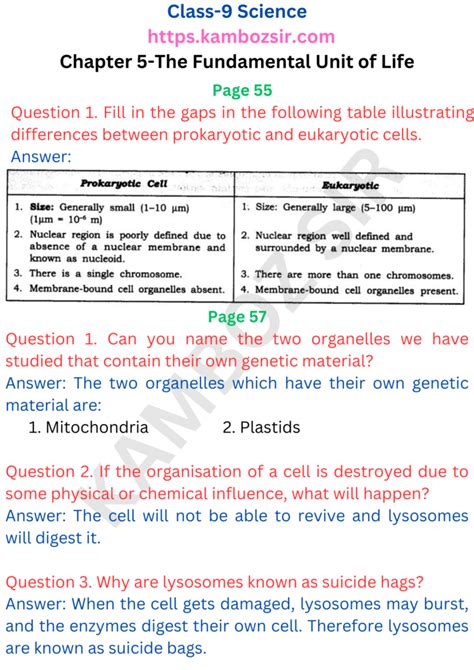 Class 9th Science Chapter 5 的图像结果