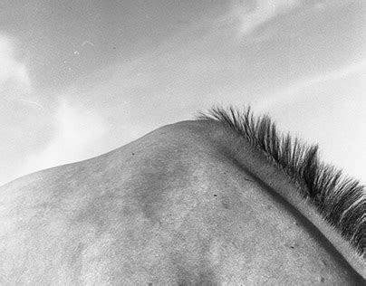 Analog Process 的图像结果