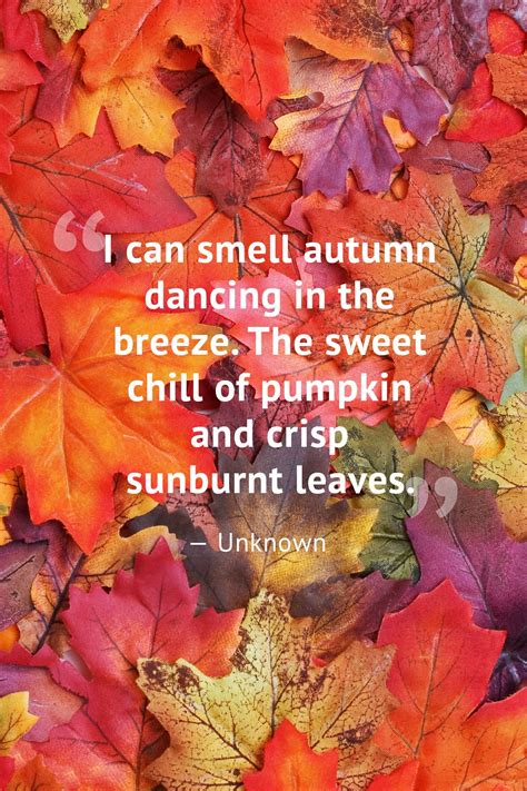 55 Short and Sweet Fall Quotes to Fall in Love With This Season | Fall ...