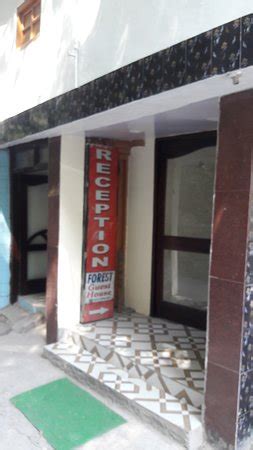 HOTEL FOREST DALHOUSIE (Himachal Pradesh) - Hotel Reviews, Photos, Rate ...