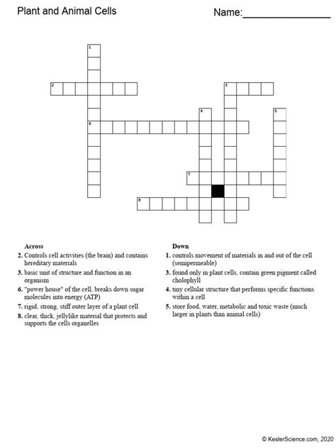 5 Evaluation - Plant and Animal Cells Crossword Puzzle | PDF | Cell ...
