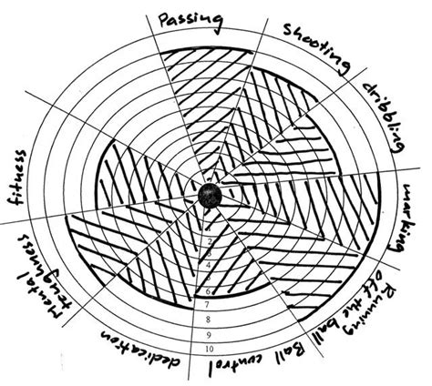 Image result for Performance Profiling Sports Examples