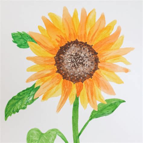 Easy Sunflower Painting Buy Watercolour Sunflower Watercolour,