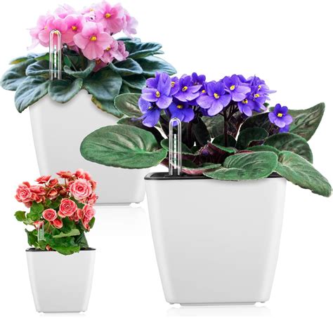 Amazon.com: BUYMAX African Violet Pots, 6 inch Ceramic Easy Self ...