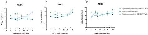 Persistent Infections in Tick Cell Lines: The Role of Viral-Derived DNA ...