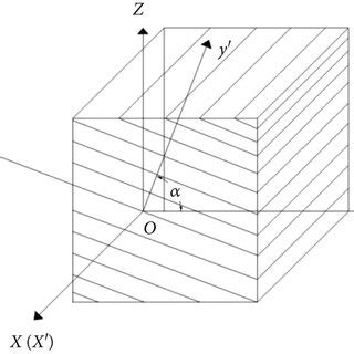 Local and Global Structure 的图像结果