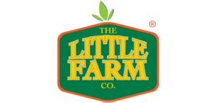 THE LITTLE FARM CO Garlic Pickle - Lehsun ka Achar (400g) | Less Oil ...