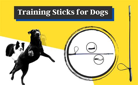 Foodie Puppies Training Hunter Stick for Puppies and Dogs - 26 inch ...