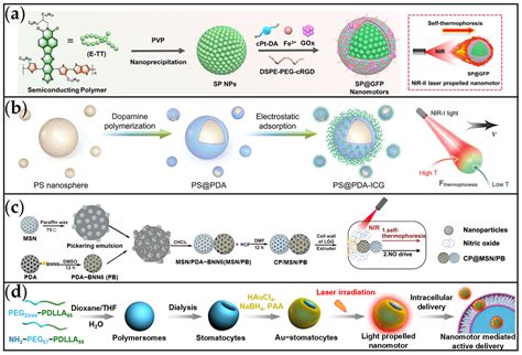 Micro/Nano-Motors for Enhanced Tumor Diagnosis and Therapy