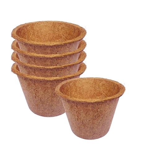Spranila Coco Coir Pots 6 Inch (6Pots) Bio-Degradable Planter and ...