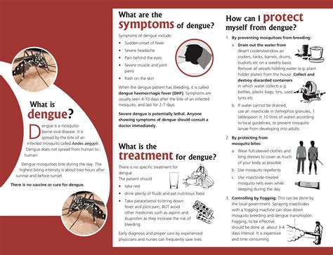 First Class Tips About How To Recover From Dengue - Warchild