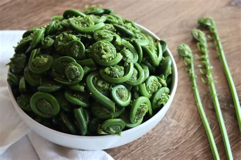 50+ Fiddlehead Recipes (Wild Foraged Spring Ferns) - Adamant Kitchen