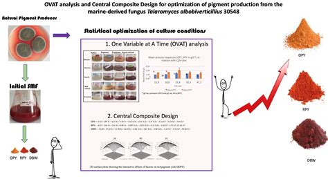 OVAT Analysis and Response Surface Methodology Based on Nutrient ...