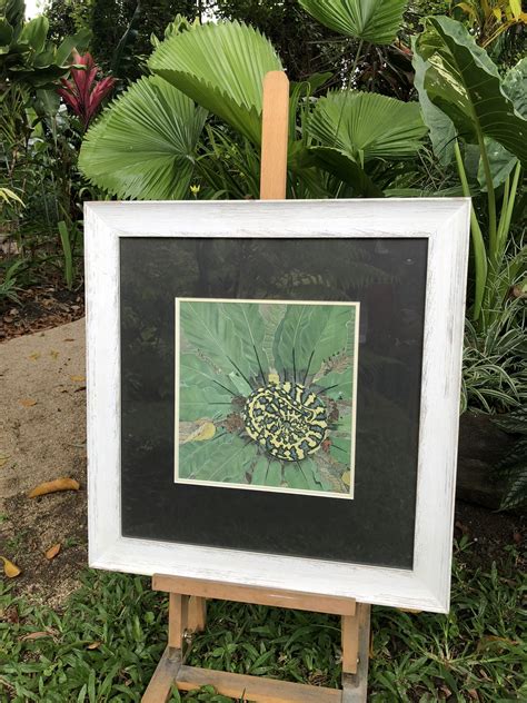 Image result for Carpet Python