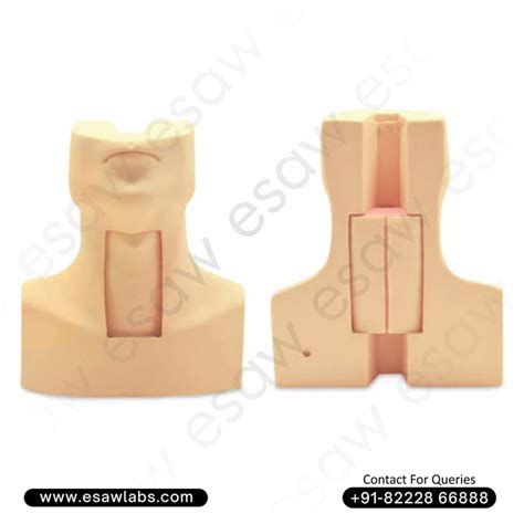 Tracheostomy Simulator – Surgical Airway Management Trainer | ESAW Ind