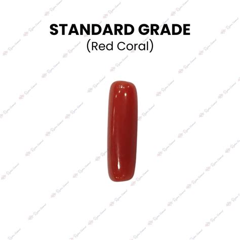 Buy Natural Red Coral (Moonga) Stone Online at Best Price in India ...