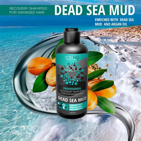 Buy Dead Sea Mud Shampoo with Pure Minerals Natural Moroccan Argan Oil ...