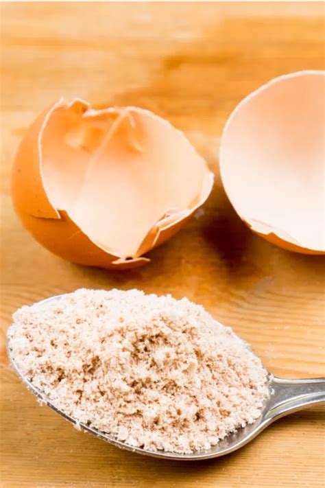 Image result for Cooking Egg Shells