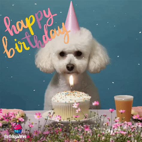 101+ Animated Happy Birthday GIFs: The Ultimate Collection for Sharing ...