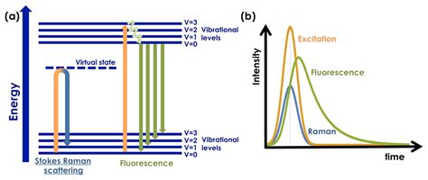 Modulated Raman Spectroscopy for Enhanced Cancer Diagnosis at the ...
