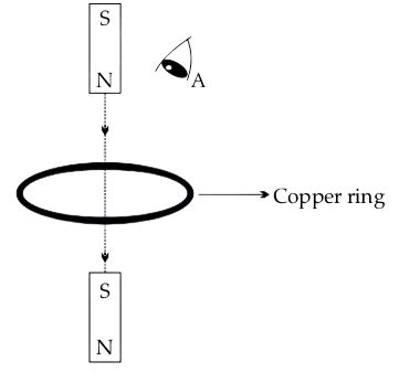 Solved 2025 Question Paper ICSE Class 10 Physics Solutions - Physics ...