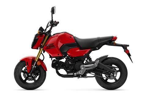 2026 Honda Grom Review | Total Motorcycle