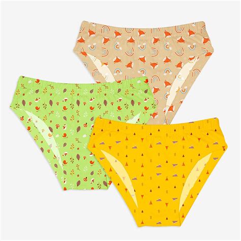 Young Boy Briefs Pack of 6 (Woody Goody, Sea-saw)
