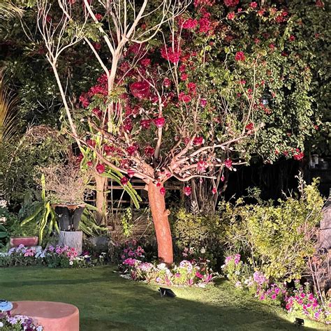 BESAME MUCHO BAZAAR (2025) All You Need to Know BEFORE You Go (with ...