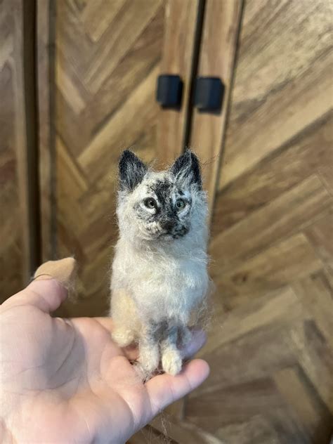 Felting a Cat 的图像结果