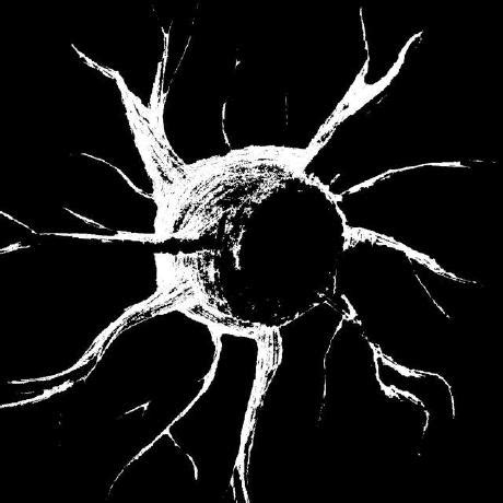 Image result for Neuron Project with Thread