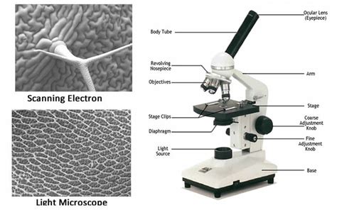 Graphics Card Under Microscope 的图像结果
