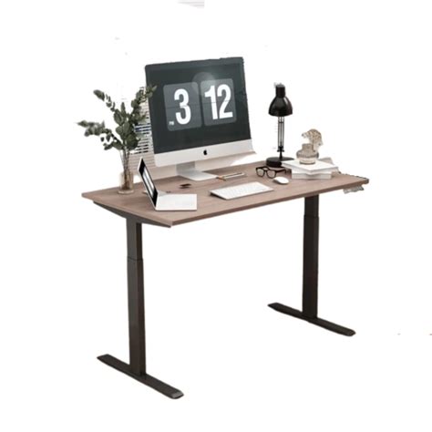 Dual Motor Electric Stand Up Desk Frame - TEKAVO