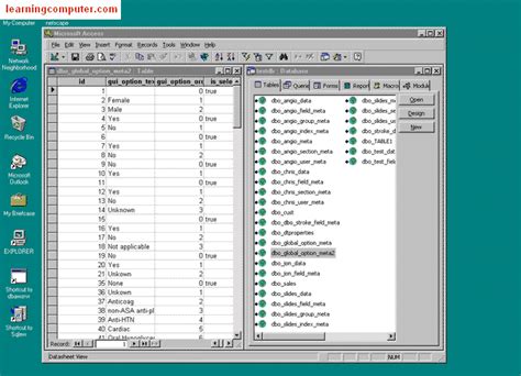 Image result for MS Access Window Image with Example