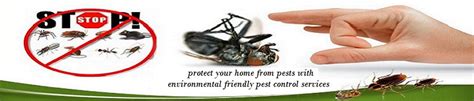 Pest Control Service in Haldwani, Ramnagar Mumbai, Termite control ...