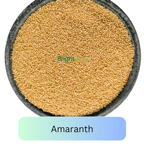 Health Benefits of Amaranth: Nutrition and Easy Recipes – Brightcrop Agro