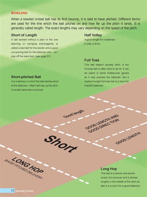 Cricket Tutorial 的图像结果