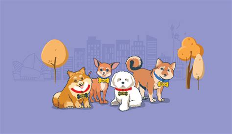 Image result for Most Common Dog Names