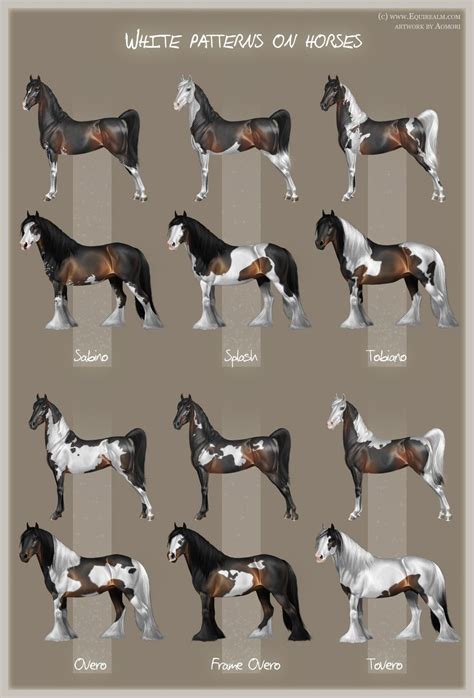 White patterns on horses by Aomori on deviantART | Horse coat colors ...