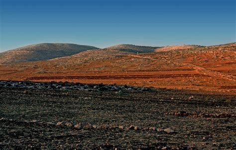 Shiloh was a city in the tribe of Ephraim