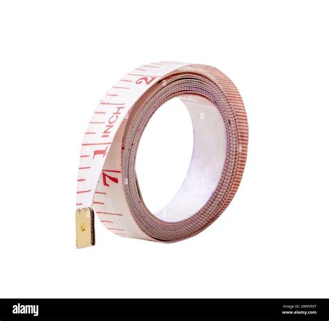 White rolling tape measure or tapeline with scale number is isolated on white background with ...