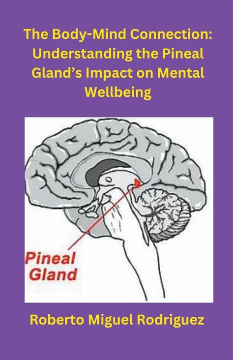 Buy The Body-Mind Connection: Understanding the Pineal Gland's Impact ...
