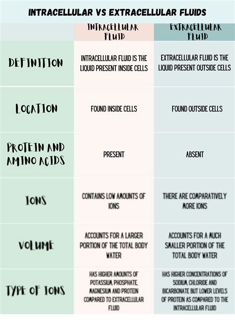Difference Between Intracellular And Extracellular Intracellular