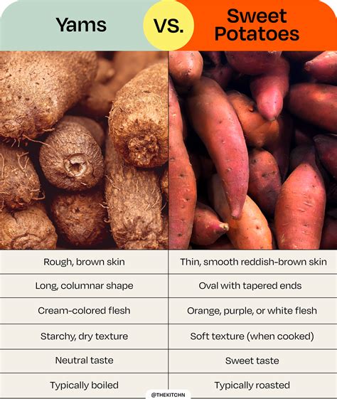 What is the Difference Between Yams and Sweet Potatoes ...