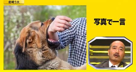 Image result for Web HTML Basic