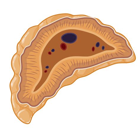 Image result for Reproduction Examination